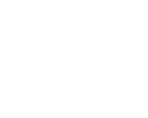 New Zealand Logo